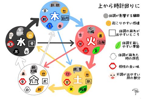 陰陽 分類|陰陽五行説とは？陰陽五行説の由来